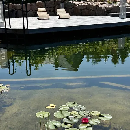 Zugspitze Morgen.rot Altenberg (Erzgebirge)